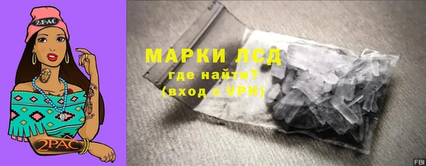 PSILOCYBIN Козловка
